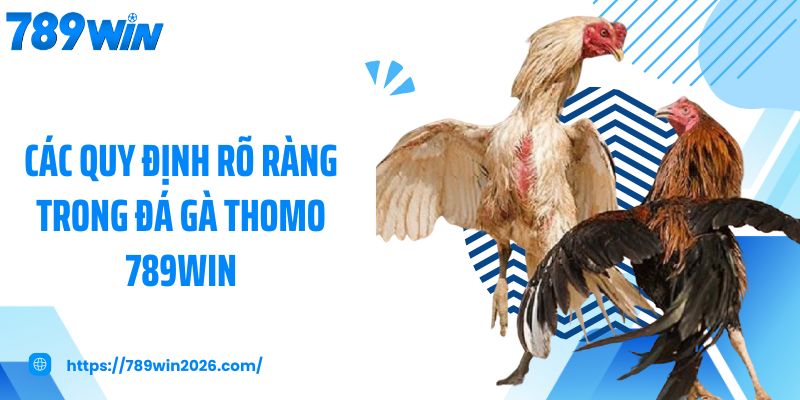 Các quy định rõ ràng trong đá gà thomo 789Win