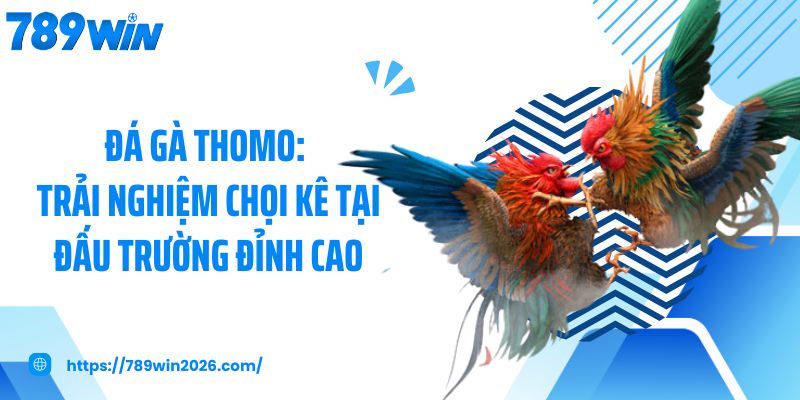 Đá gà thomo
